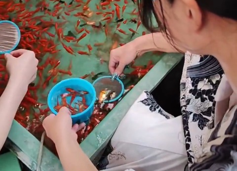 【動画】めちゃくちゃ金魚すくいの上手いまんさんｗｗｗｗｗｗｗｗｗ