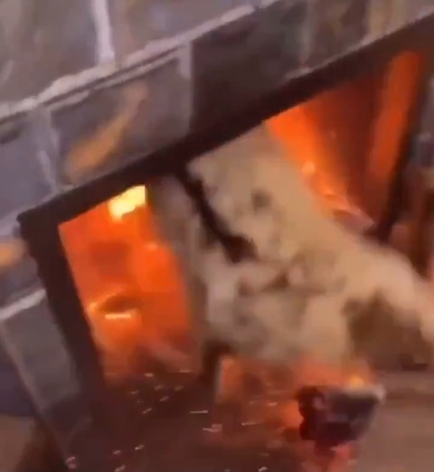 【動画】なんでこいつらこんなに死にたがりなの…