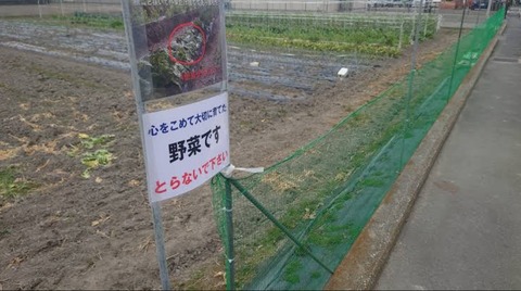 ぼく「最近野菜盗まれるなぁ…柵作るか…」???「ｲﾔｧｱｱｱｱｱｱ!!!柵作ってるぅ!!!!!!!!」