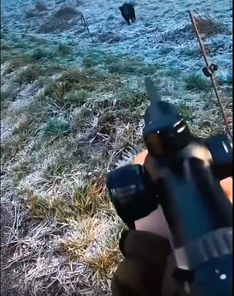 【動画】おっさん　イノシシの突進をギリギリで防ぐ????