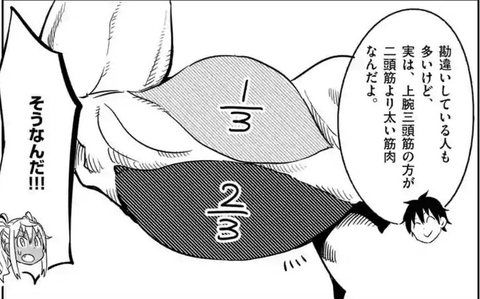 筋トレマン「上腕二頭筋！上腕三頭筋！」ワイ「ほなら上腕一頭筋は？」筋トレマン「？」