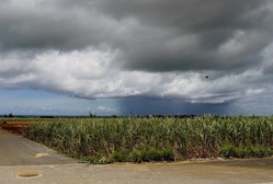 06通り雨 (1024x576) (849x573)