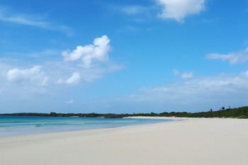 氷結CM渡口の浜