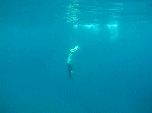 まるよしよもやま話 伊良部の日常 まとめ記事 民宿まるよし情報館 民宿まるよし公式ブログ 沖縄 伊良部島