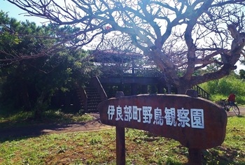 野鳥観察園01