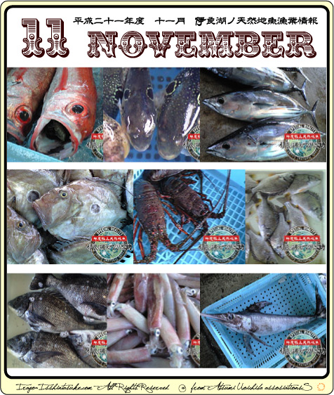 鮮度極上天然地魚 伊良湖之一心太助 鮮度極上天然地魚 伊良湖之一心太助