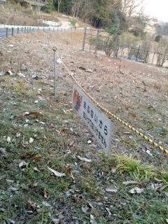 野津田公園バラ広場の テニスコート計画 と樹林伐採 苛草のlivedoor Blog 野津田公園バラ広場の テニスコート計画 と樹林伐採 苛草のlivedoor Blog