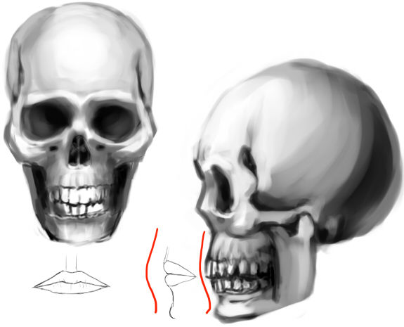 口を描いてみる イラストのはなしをしよう