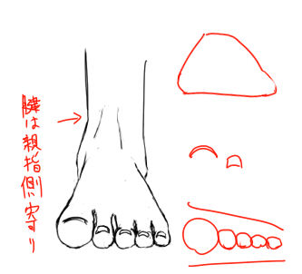 足を描くために1 足の特徴 イラストのはなしをしよう