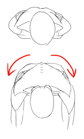 背骨の話 イラストのはなしをしよう