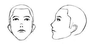 Gifアニメ あおりの正面顔を描く イラストのはなしをしよう Gifアニメ あおりの正面顔を描く イラストのはなしをしよう