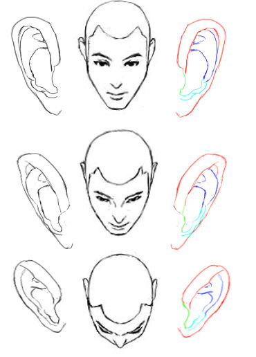 耳の角度色々1 イラストのはなしをしよう 耳の角度色々1 イラストのはなしをしよう