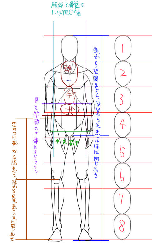 全身の比率 イラストのはなしをしよう