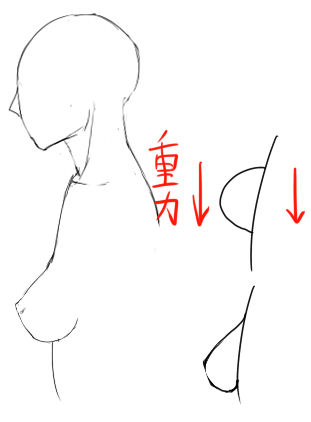 女性の胸について イラストのはなしをしよう 女性の胸について イラストのはなしをしよう