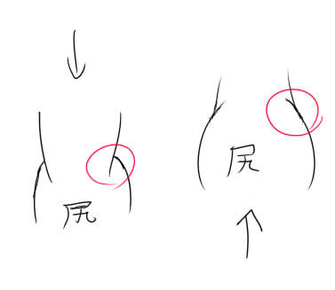 下半身 お尻側 の俯瞰 イラストのはなしをしよう