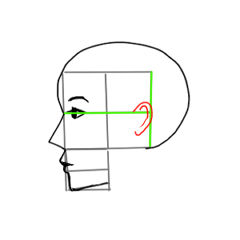 横顔の描き方講座 超初心者向け イラストのはなしをしよう 横顔の描き方講座 超初心者向け イラストのはなしをしよう
