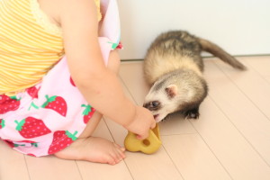 あいりー2