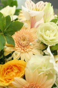 from arisuさん