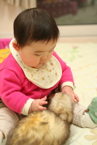 ティ&あいりー
