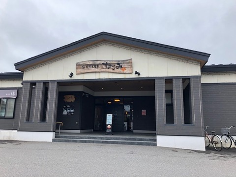 nogi