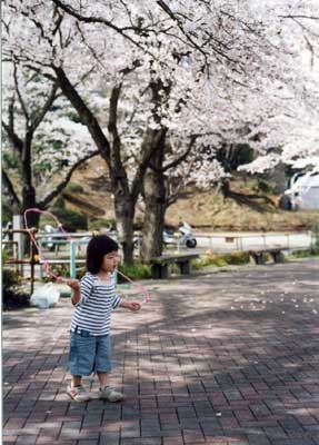 08sakura 08sakura