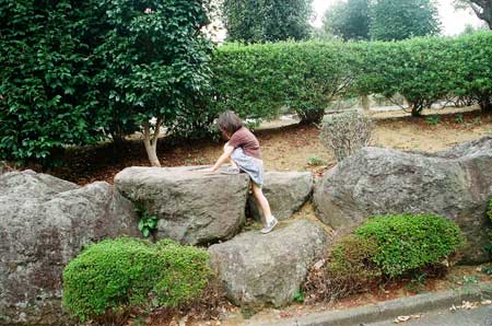 Stone5 Stone5