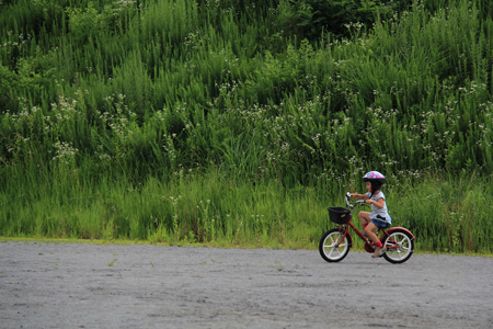 Natsucycle2 Natsucycle2