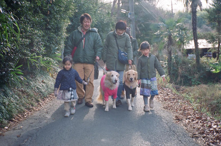Dogwalk2 Dogwalk2