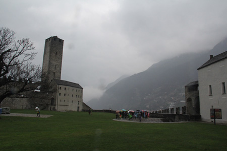 Img_3879 Img_3879