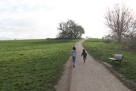 Img_1900 Img_1900