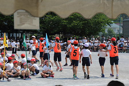 Dpp_015509 Dpp_015509