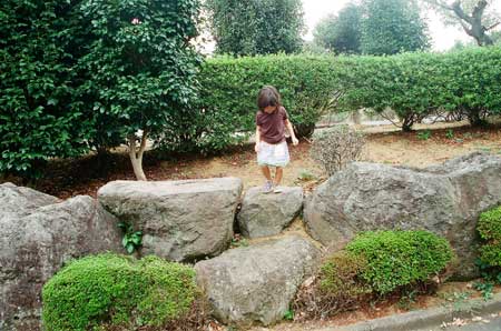 Stone3 Stone3