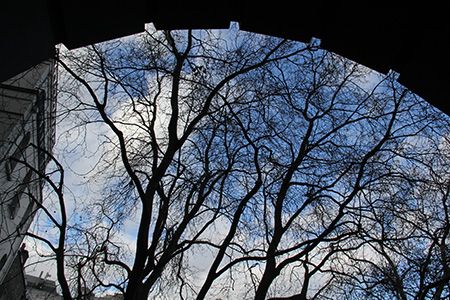 Img_2240 Img_2240