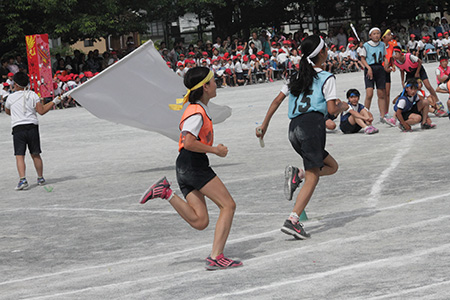 Dpp_007695 Dpp_007695