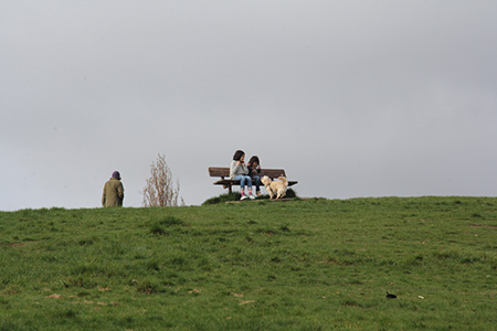 Img_1943 Img_1943