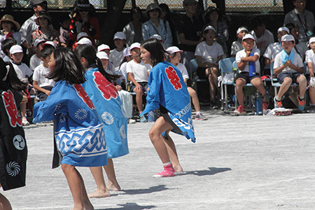 Dpp_007678 Dpp_007678