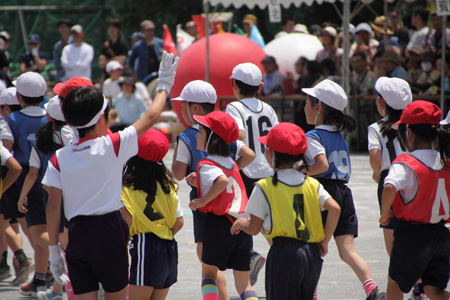 Dpp_21928 Dpp_21928