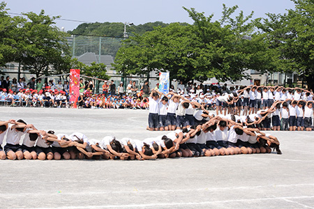 Dpp_015622 Dpp_015622