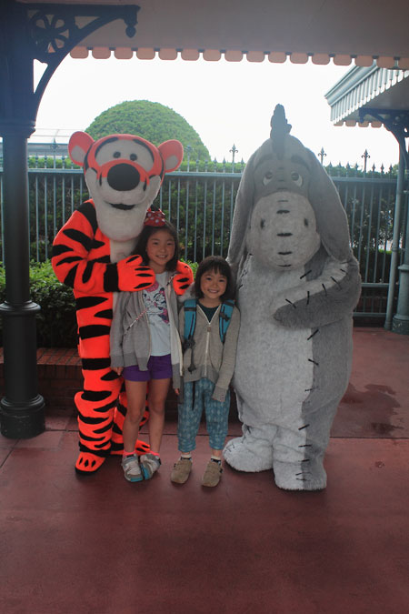 Dpp_22141 Dpp_22141