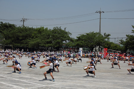 Dpp_21891 Dpp_21891