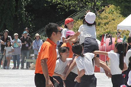 Dpp_007637 Dpp_007637