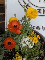 PXL_20250312_055923185
