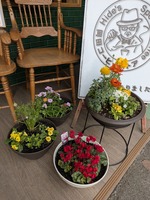PXL_20250312_055914003