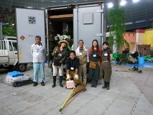 ��֤Τߤʤ���