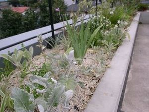 !cid_F7D3CB28-F883-49E5-BB29-2EC5B471BB0F