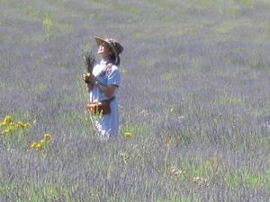 �׎͎ގݎ��ގ�