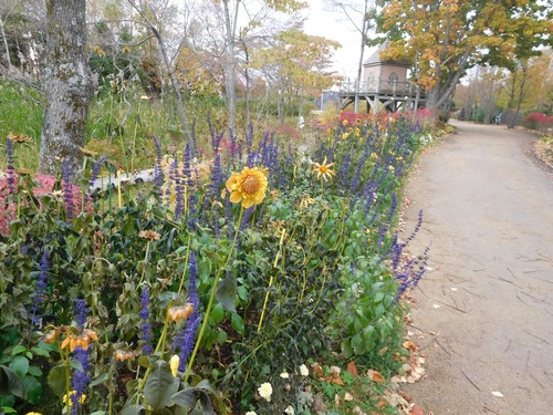 コピー 〜 画像 10月17 001