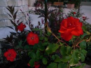 !cid_425B946A-9F41-4D6F-921C-5374F33E0B4A