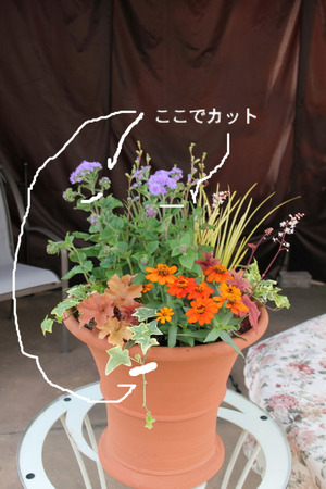 BlogPaint