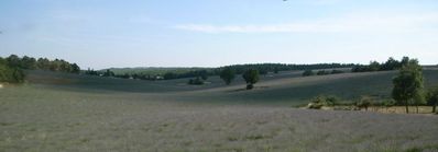 �ץ�������